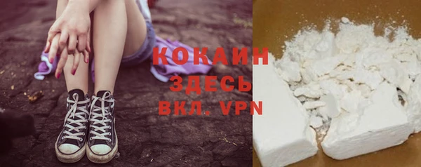 шишки Баксан