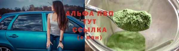 шишки Баксан