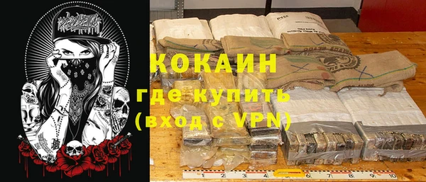 шишки Баксан