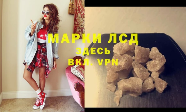 шишки Баксан