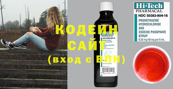 шишки Баксан